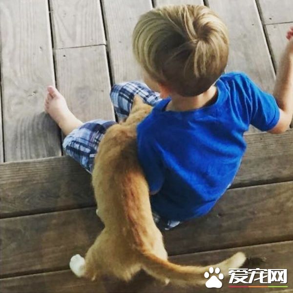 超可愛喵星人 為自己挑了四歲小男孩當貓奴收編
