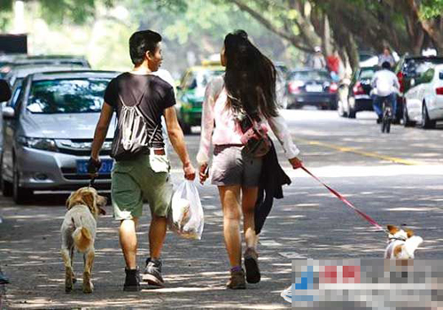 將寵物帶進公共場所 身邊寵物擾民傷人頻惹禍 