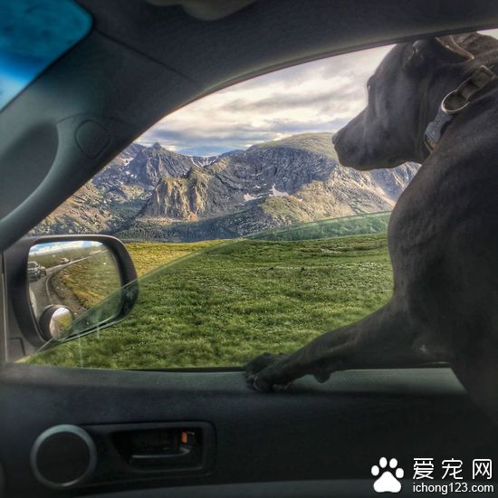 一人一車一狗 橫跨美國的神奇之旅
