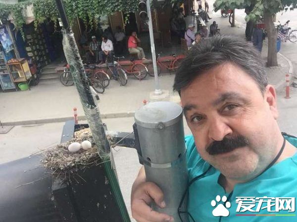 紅綠燈鳥巢再次成為全國焦點 原因超暖心！