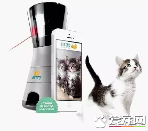 寵物們正在享受這樣的高科技