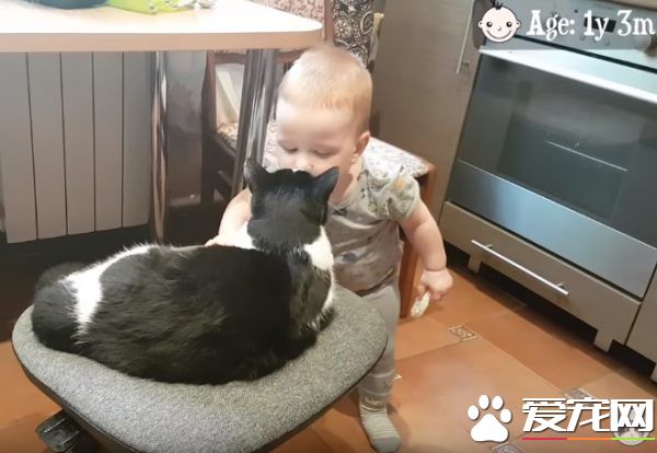 親貓狂 人類弟弟超愛他的貓哥哥