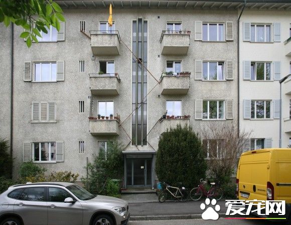 攝影師發現瑞士奇景 每家都有貓咪專屬的貓樓梯