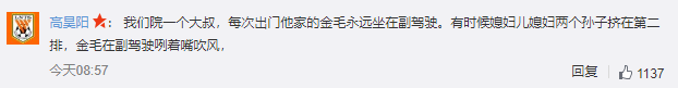 讓狗狗坐副駕駛 誰知卻慘遭罰款和扣分