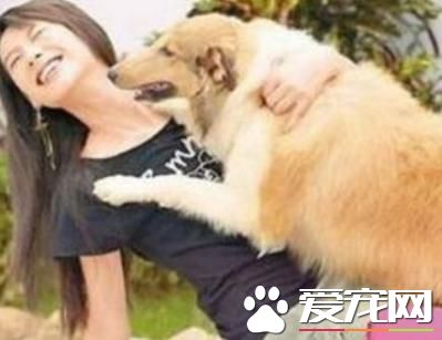 狗狗亂撲人？狗狗人來瘋？狗狗興奮不受控制？改正其實很簡單！