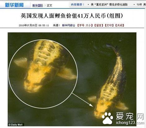 湖南發現罕見“人面鯉魚”  更是有鼻子有眼