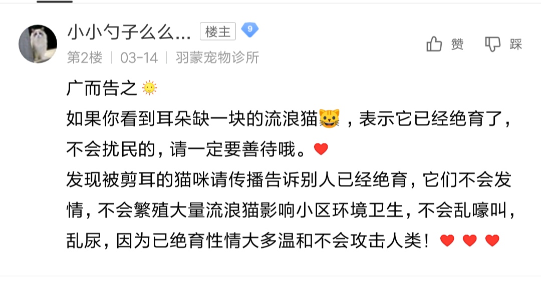 居民聯手物業號召給流浪貓狗做絕育手術 不要再傷害無辜的小動物了
