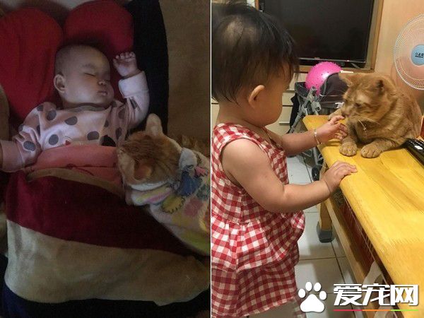 輕輕地親親的傻傻分不清楚 霸氣拔掉奶嘴深情獻吻