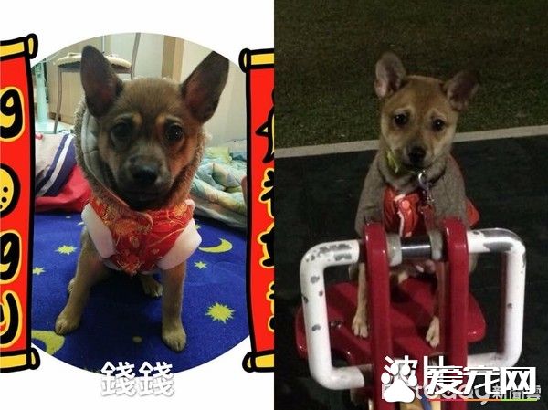 只是長的像還是真兄弟？緣分真奇妙