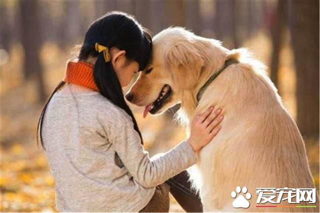 為什么養狗狗，養狗狗有好處？