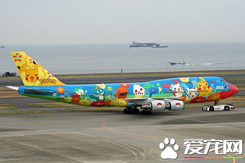 日空航空公司欲推出寵物航班 獸醫全程陪伴