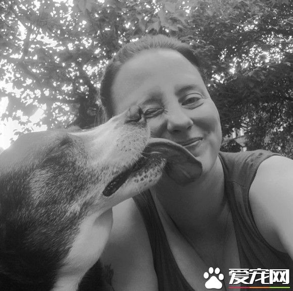 珍惜與狗狗的每一刻 洛基主人用這種方式告訴大家