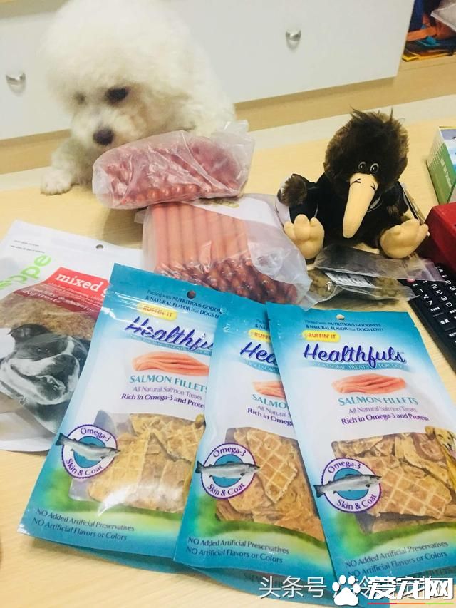【養寵故事】自從有了你~