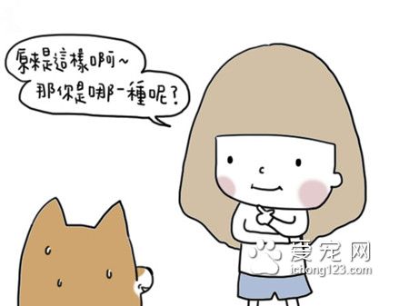 為什么狗狗總愛咬衣物?讓我們來了解下到底為什么吧!