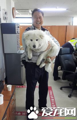 流浪狗沒有人要 韓國警察收編給它一個家