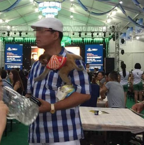 長春一男子帶個猴子來啤酒節 引眾人圍觀