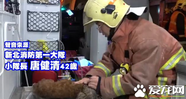 英勇消防員為救狗狗 施于人工呼吸救回一命