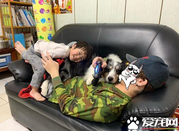 暖汪發現弟弟被罰站 便情義相挺地進去陪伴