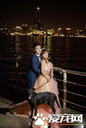 汪汪們護衛馬麻取錢 黑臉警戒讓主人超安心!