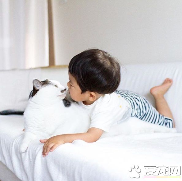 貓哥哥和人類弟弟的成長日記 看起來超級幸福!