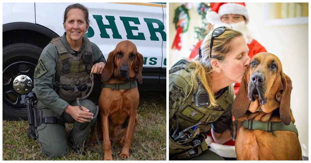 心痛！從事追蹤失蹤兒童和癡呆患者的獵犬被癌癥奪去生命