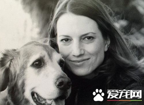 黃金獵犬幫助女作家擺脫抑郁癥 活下去的唯一理由