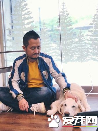 14歲愛犬患癌痛苦不已 主人將30公斤狗狗抱回家
