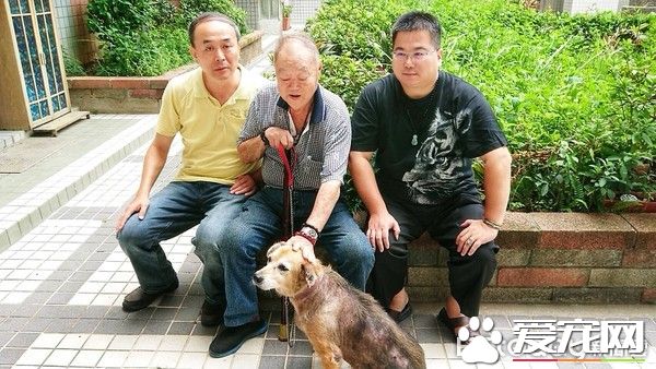 老人與<a href=/zhonglei/gou/ target=_blank class=infotextkey>狗</a> 高齡老人不舍送高齡狗動保處