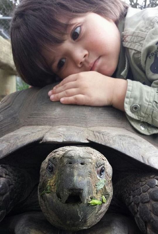澳大利亞5歲男童與鱷魚玩耍 參與給動物喂食和健康檢查等工作