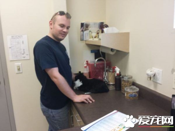 貓兄弟初看醫生爭相躲水槽 模樣超級可憐卻又好笑