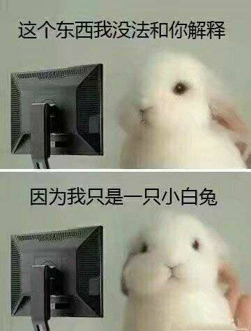 這只小鴨被貓頭鷹養大 到底是什么鬼？還有這種操作