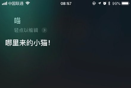讓Siri叫貓咪？怎么會有這樣的操作 真的是奇葩網友多