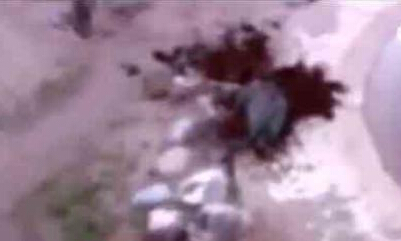 大象身體爆炸 瞬間粉碎化成血水