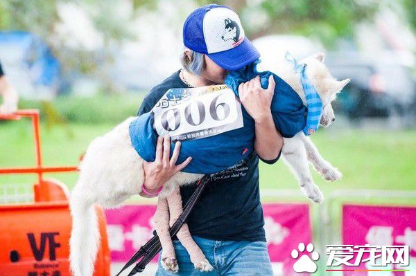 我們的緣分還沒結束 愛犬離世后夢小嬰兒對我笑