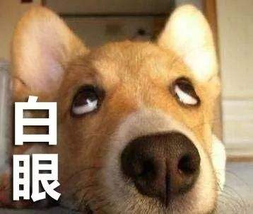 嫉妒讓狗子面目全非 逼急了會做這種事