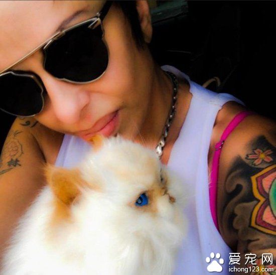 妹子將去世寵物貓做防腐處理,從此形影不離