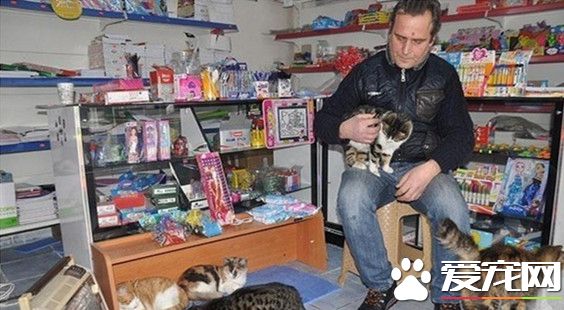 暴雪中收留流浪貓遭抗議 雜貨店老板霸氣回應