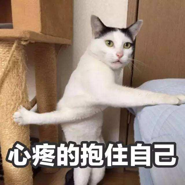 “貓中哈士奇”皮出新高度，黑貓警長：我不是，我沒有，別瞎說！