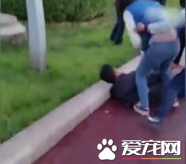 兩女子和一條狗圍攻老人 警方：因狗打架 