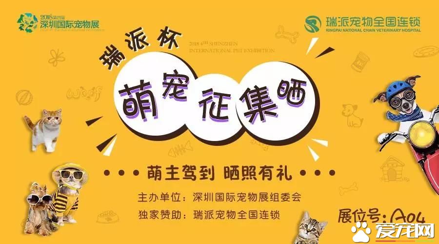 屬于鏟屎官們的年度盛會 2018第四屆深圳國際寵物展5月1日啟幕