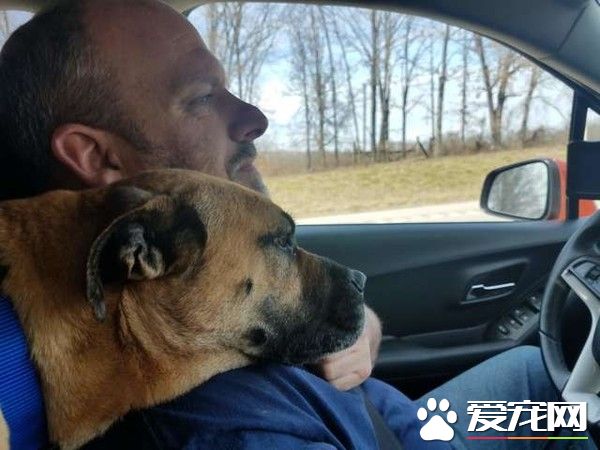 男子下車尿尿 回車發現來了一只不速之狗