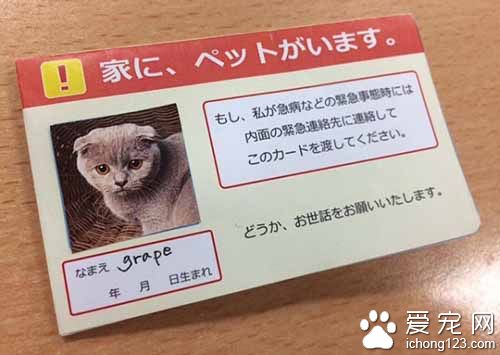 日本網友提倡大家隨身攜帶寵物卡