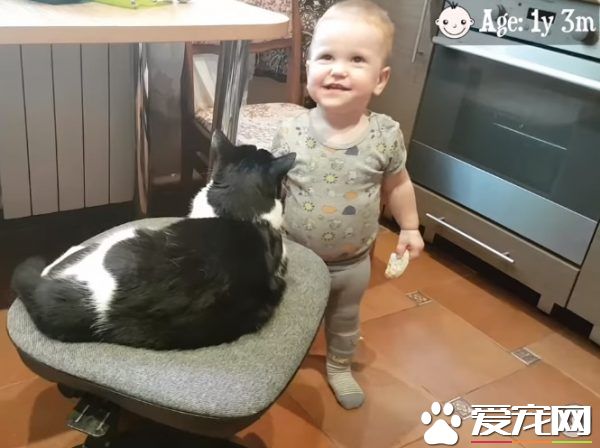 親貓狂 人類弟弟超愛他的貓哥哥