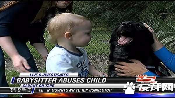美國發生一件保姆虐童案 忠犬狂吠揭發惡行