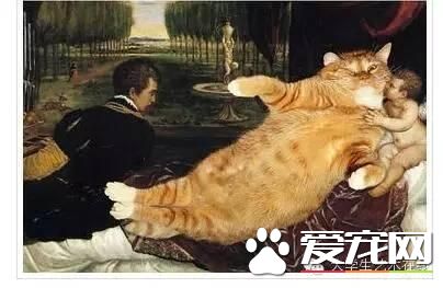 當寵物貓亂入名畫