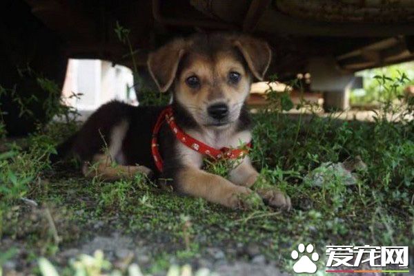 長大18變！小瘦子長大變雙下巴的小肥豬