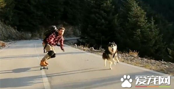 帶你看遍世界 主人牽著愛犬一起游希臘