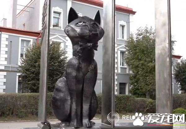 超夢幻職缺 負責照顧流浪貓的貓隊長