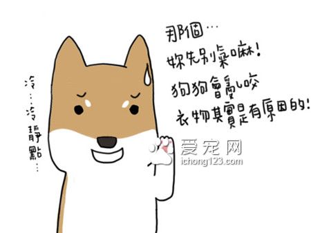 為什么狗狗總愛咬衣物?讓我們來了解下到底為什么吧!