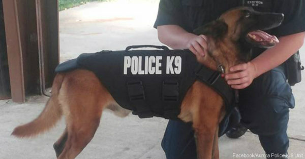英勇警犬執行任務犧牲 致敬k9防彈背心以吊念
